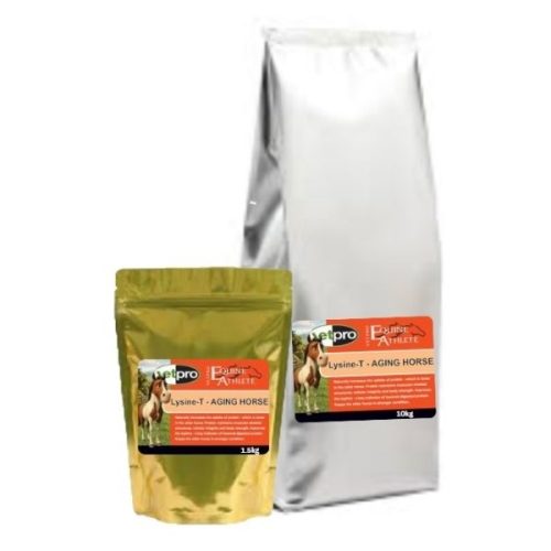 Lysine-T Aging Horse