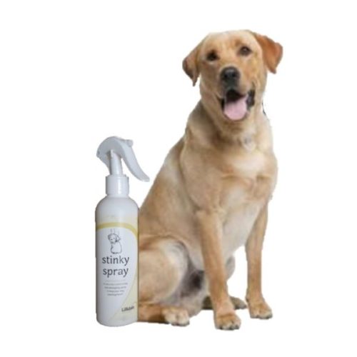 Lillidale Stinky Spray for Dogs